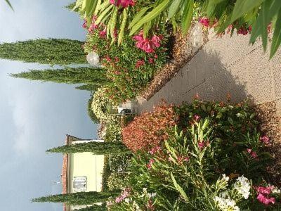 Villa Manuela Altopascio Eksteriør bilde